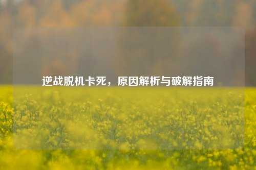 逆战脱机卡死,原因解析与破解指南