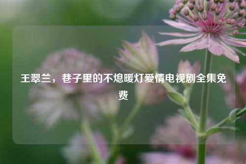 王翠兰,巷子里的不熄暖灯爱情电视剧全集免费
