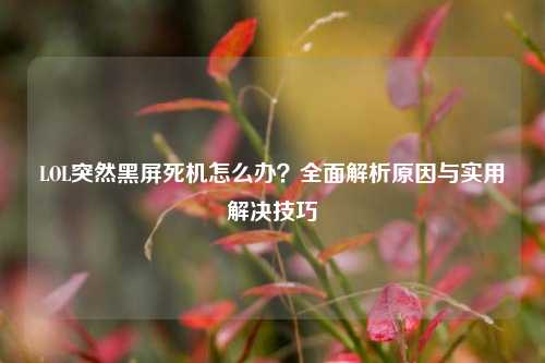 LOL突然黑屏死机怎么办?全面解析原因与实用解决技巧
