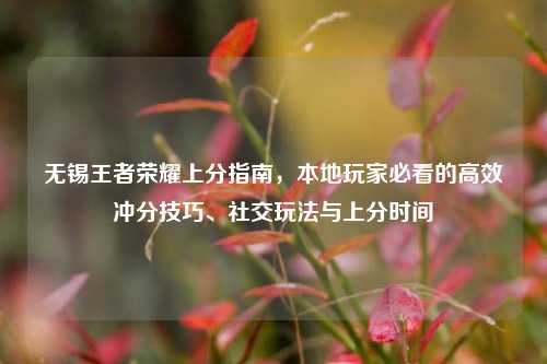 无锡王者荣耀上分指南,本地玩家必看的高效冲分技巧、社交玩法与上分时间