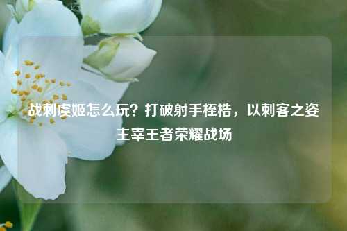 战刺虞姬怎么玩?打破射手桎梏,以刺客之姿主宰王者荣耀战场