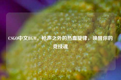 CSGO中文BGM,枪声之外的热血旋律,唤醒你的竞技魂