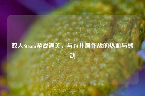 双人Steam游戏通关,与TA并肩作战的热血与感动