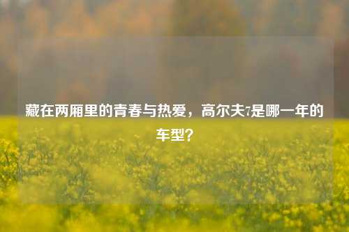 藏在两厢里的青春与热爱,高尔夫7是哪一年的车型?