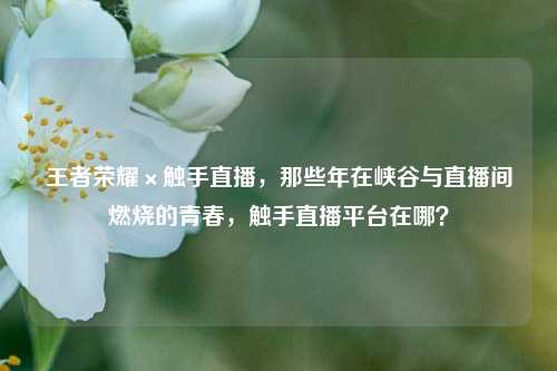 王者荣耀×触手直播,那些年在峡谷与直播间燃烧的青春,触手直播平台在哪?
