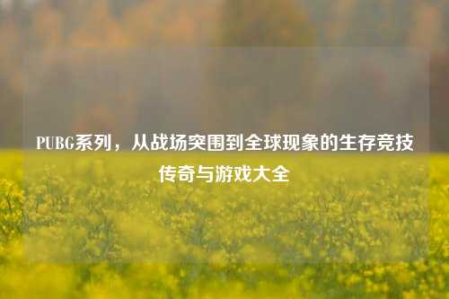 PUBG系列,从战场突围到全球现象的生存竞技传奇与游戏大全
