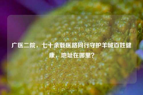 广医二院,七十余载医路同行守护羊城百姓健康,地址在哪里?