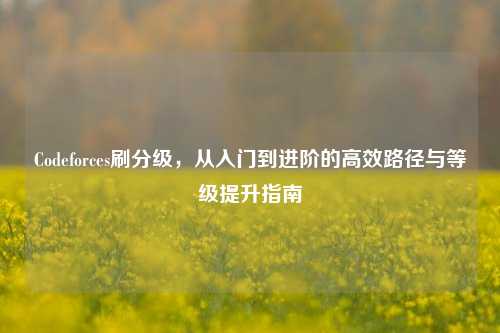 Codeforces刷分级,从入门到进阶的高效路径与等级提升指南