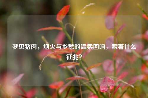 梦见猪肉,烟火与乡愁的温柔回响,藏着什么征兆?