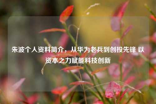 朱波个人资料简介,从华为老兵到创投先锋 以资本之力赋能科技创新