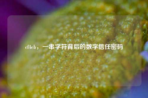 cf4eb,一串字符背后的数字信任密码