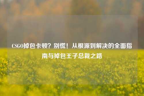 CSGO掉包卡顿?别慌!从根源到解决的全面指南与掉包王子总裁之路