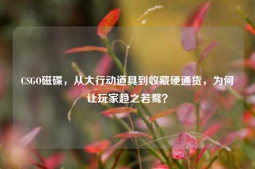 CSGO磁碟,从大行动道具到收藏硬通货,为何让玩家趋之若鹜?