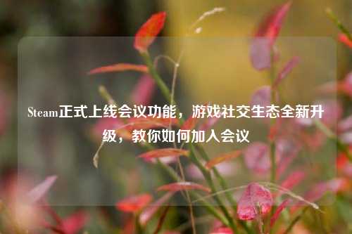 Steam正式上线会议功能,游戏社交生态全新升级,教你如何加入会议