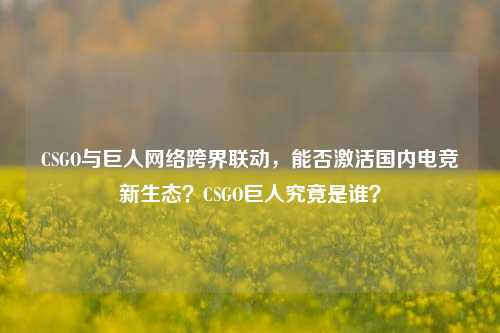CSGO与巨人 *** 跨界联动,能否激活国内电竞新生态?CSGO巨人究竟是谁?