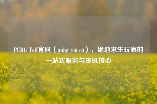 PUBG Toll官网(pubg too cn),绝地求生玩家的一站式服务与资讯核心
