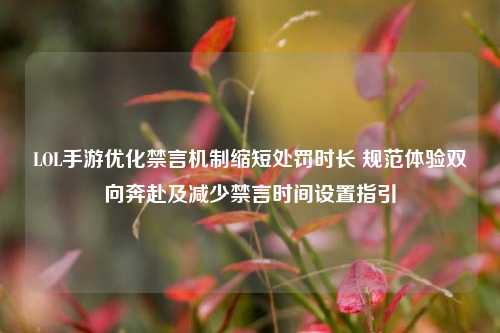 LOL手游优化禁言机制缩短处罚时长 规范体验双向奔赴及减少禁言时间设置指引