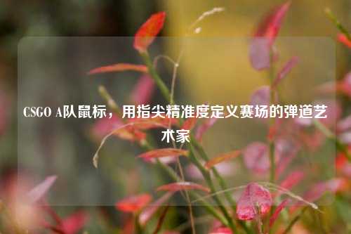 CSGO A队鼠标,用指尖精准度定义赛场的弹道艺术家