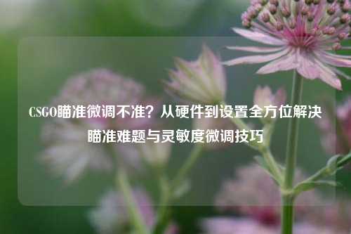 CSGO瞄准微调不准?从硬件到设置全方位解决瞄准难题与灵敏度微调技巧