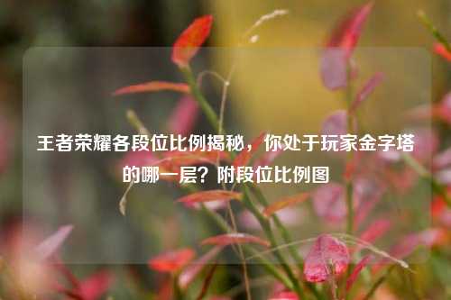 王者荣耀各段位比例揭秘,你处于玩家金字塔的哪一层?附段位比例图