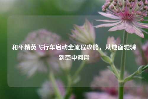 和平精英飞行车启动全流程攻略,从地面驰骋到空中翱翔