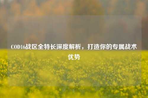 COD16战区全特长深度解析,打造你的专属战术优势
