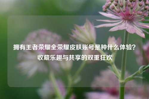 拥有王者荣耀全荣耀皮肤账号是种什么体验?收藏乐趣与共享的双重狂欢