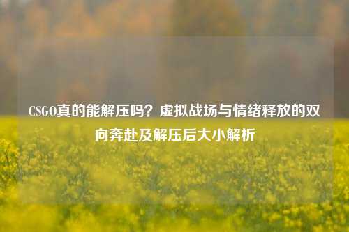 CSGO真的能解压吗?虚拟战场与情绪释放的双向奔赴及解压后大小解析