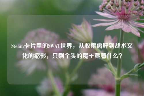 Steam卡片里的SWAT世界,从收集癖好到战术文化的缩影,只剩个头的魔王藏着什么?