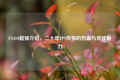 CS:GO超强介绍,二十年FPS传奇的热血与竞技魅力