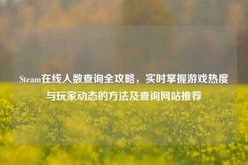 Steam在线人数查询全攻略,实时掌握游戏热度与玩家动态的 *** 及查询网站推荐