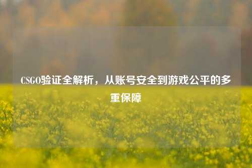CSGO验证全解析,从账号安全到游戏公平的多重保障