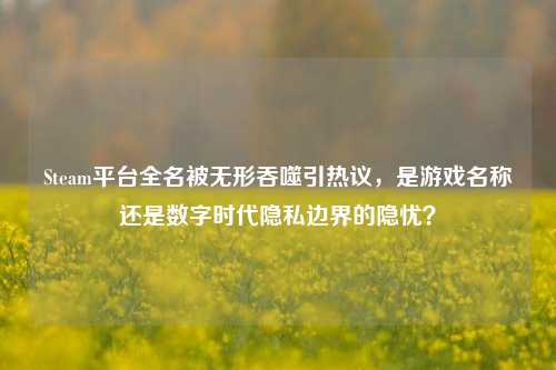 Steam平台全名被无形吞噬引热议,是游戏名称还是数字时代隐私边界的隐忧?