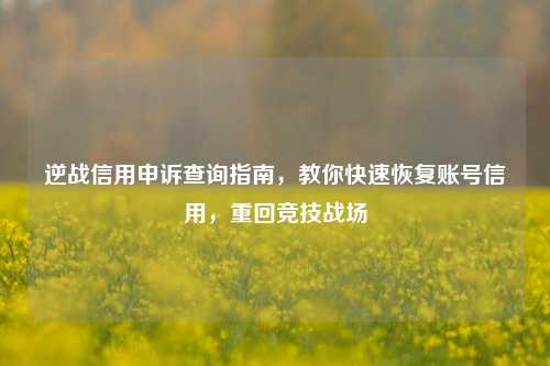 逆战信用申诉查询指南,教你快速恢复账号信用,重回竞技战场