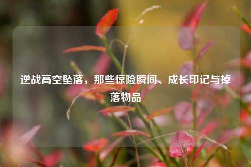 逆战高空坠落,那些惊险瞬间、成长印记与掉落物品