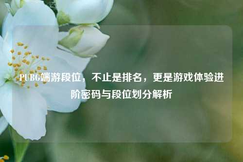 PUBG端游段位,不止是排名,更是游戏体验进阶密码与段位划分解析