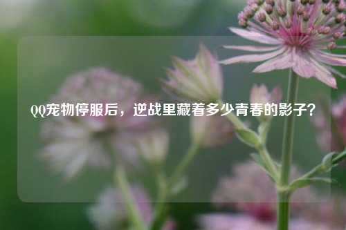 *** 宠物停服后,逆战里藏着多少青春的影子?