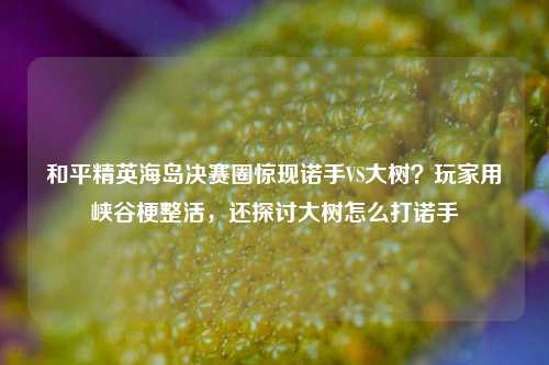 和平精英海岛决赛圈惊现诺手VS大树?玩家用峡谷梗整活,还探讨大树怎么打诺手