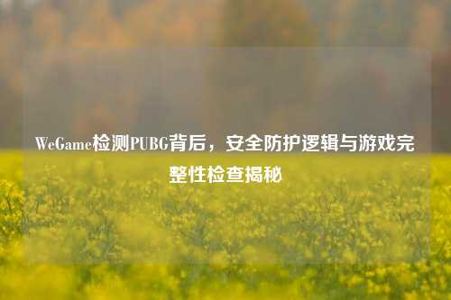 WeGame检测PUBG背后,安全防护逻辑与游戏完整性检查揭秘