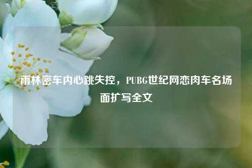 雨林密车内心跳失控,PUBG世纪网恋肉车名场面扩写全文
