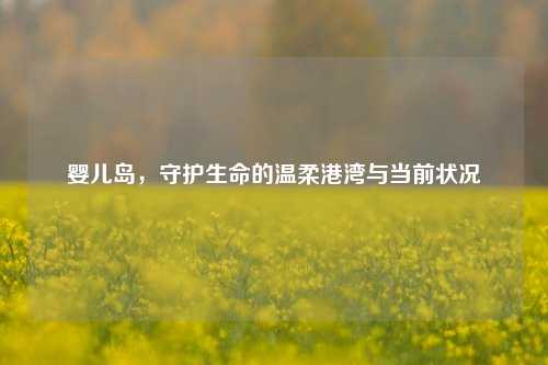 婴儿岛,守护生命的温柔港湾与当前状况
