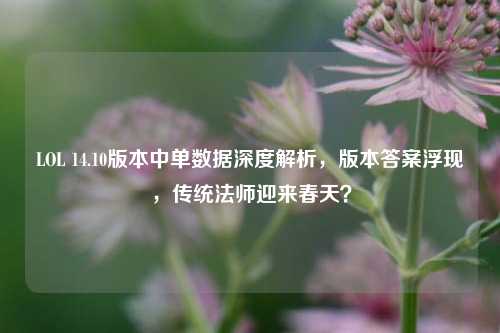 LOL 14.10版本中单数据深度解析,版本答案浮现,传统法师迎来春天?