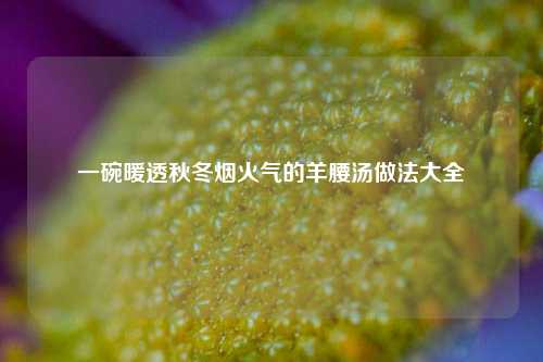 一碗暖透秋冬烟火气的羊腰汤做法大全