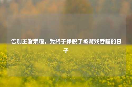 告别王者荣耀,我终于挣脱了被游戏吞噬的日子