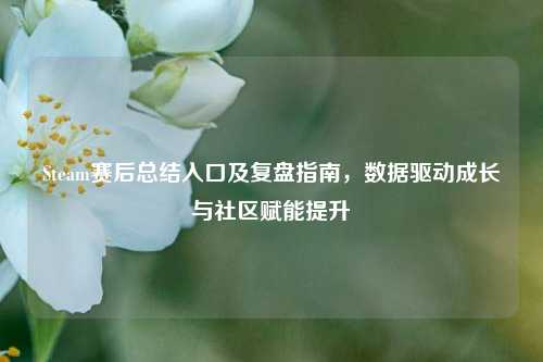 Steam赛后总结入口及复盘指南,数据驱动成长与社区赋能提升