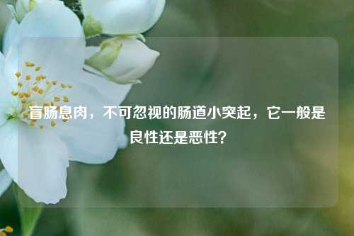 盲肠息肉,不可忽视的肠道小突起,它一般是良性还是恶性?