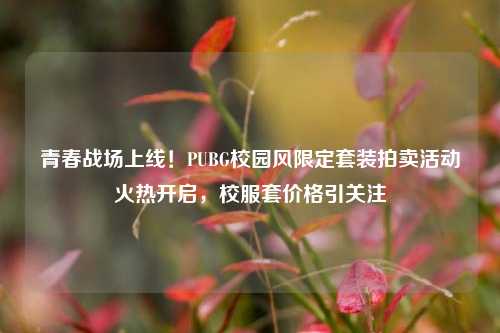 青春战场上线!PUBG校园风限定套装拍卖活动火热开启,校服套价格引关注
