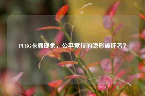 PUBG卡霸现象,公平竞技的隐形破坏者?