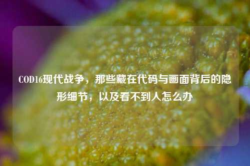 COD16现代战争,那些藏在代码与画面背后的隐形细节,以及看不到人怎么办