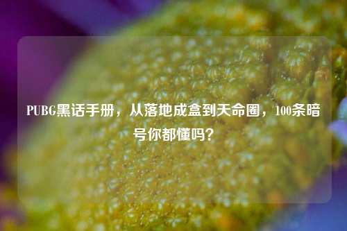 PUBG黑话手册,从落地成盒到天命圈,100条暗号你都懂吗?